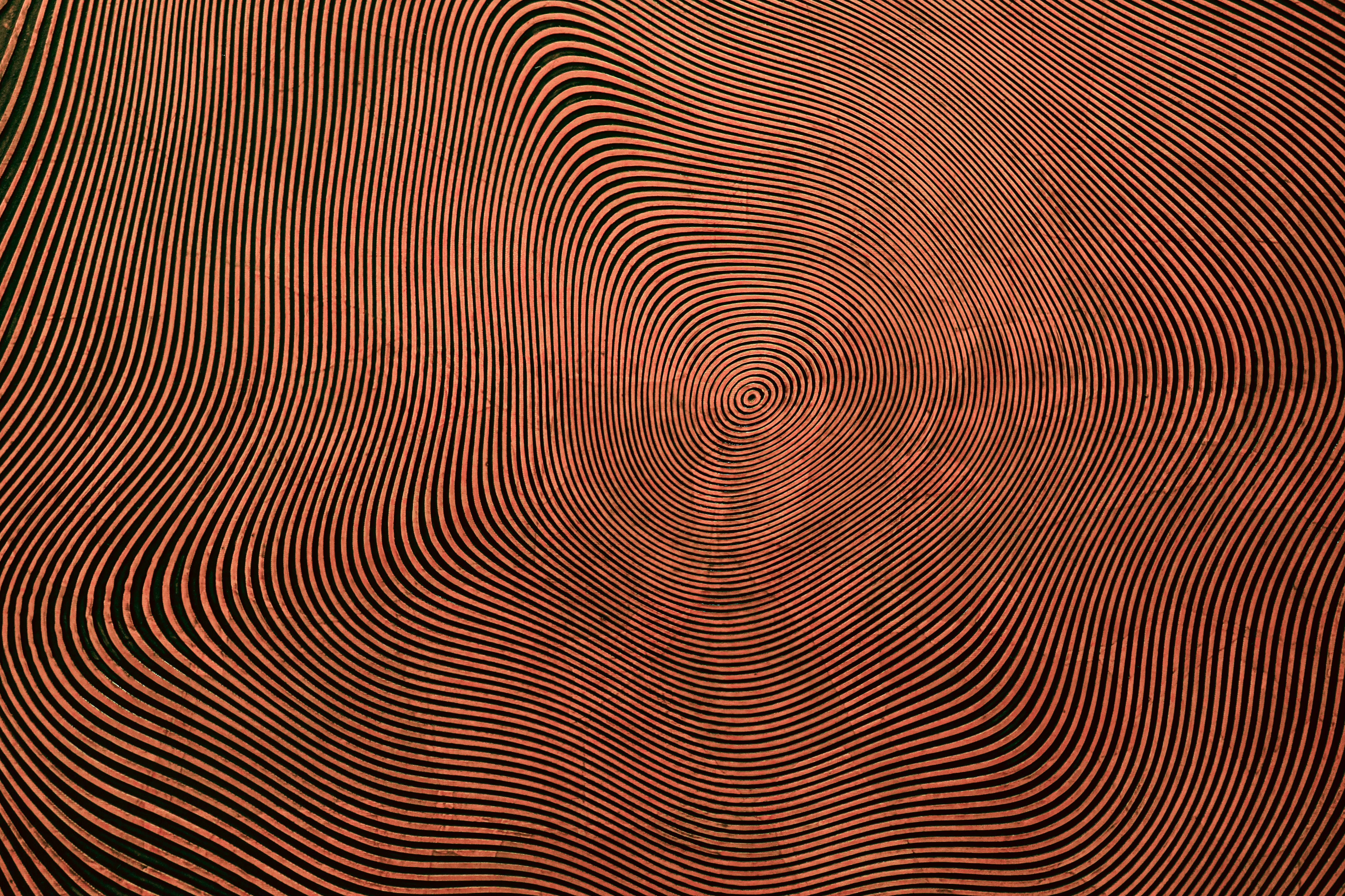 EINF en productos de consumo en España: guía para 2026